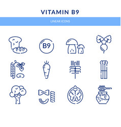 Vitamin B9 Which Is Found In Foods