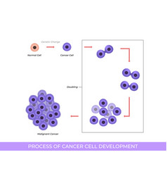 Process Of Cancer Cell Development