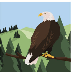 Beautiful bald eagle in tree branch landscape Vector Image