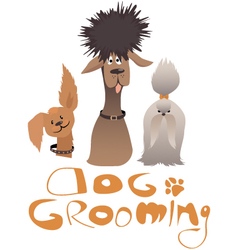 Dog Grooming Service