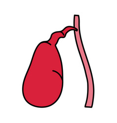 Gallbladder Organ Icon