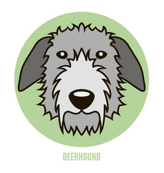 Portrait Of Deerhound