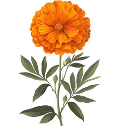 A Style Digital Art Print Of A Marigold