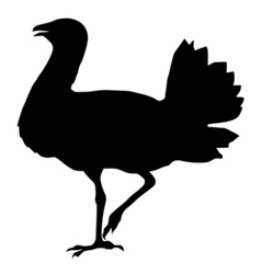 Black Silhouette Of Bustard