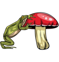 Frog And Mushroom