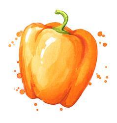 Ripe Juicy Sweet Orange Bell Pepper Watercolor