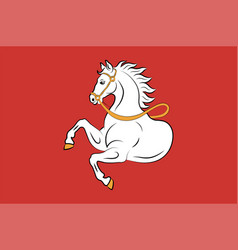 Flag Of Pardubice City In Czech Republic