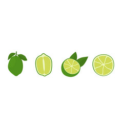 Green Citrus Fruit On Lime Tree Key Lime Slice