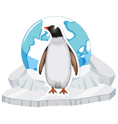 Penguin Standing On Ice Sheet