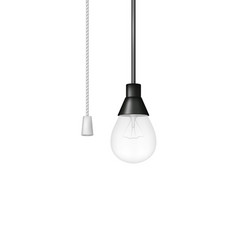 Hanging Light Bulb With Cord Switch