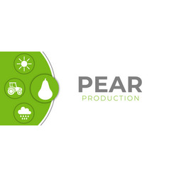 White Pear Production Banner Background