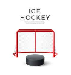 Ice Hockey Goal With Net 3d Puck