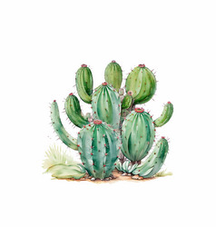 Watercolor Cactus Plant On White Background