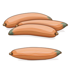 Group Of Georgia Candy Roaster Squash Clipart