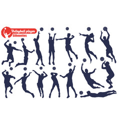 Male Volleyball Player Silhouettes