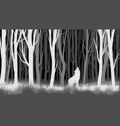 Horizontal Of Night Forest With Wolf