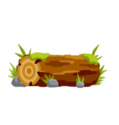 Brown Log With Green Moss And Stone