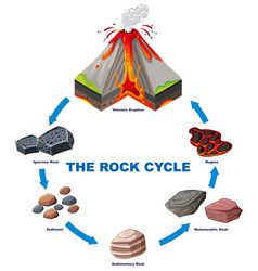 Diagram showing rock cycle Royalty Free Vector Image