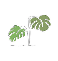 Monstera Leaves In The Style Of A Continuous Line