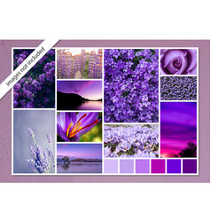 Photo Collage Moodboard Template In Purple Color