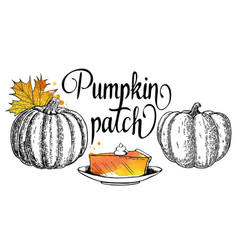 Pumpkin Patch Calligraphy Card Sign Pie