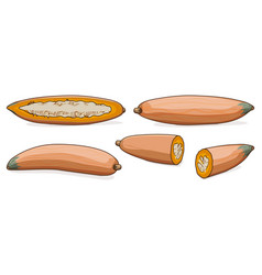 Set Of Georgia Candy Roaster Squash Clipart