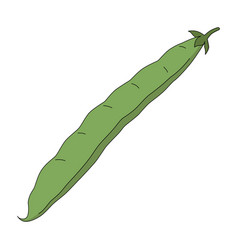 A Bean Pod In Cartoon Style