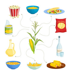 Corn Products Flat Composition