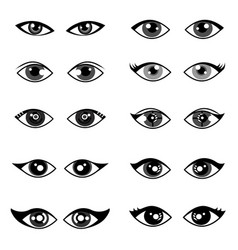 Female Eye Model Set On White Background