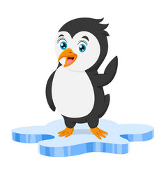 Cute Baby Penguin On Ice Floe