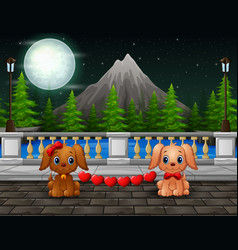 Night Scene With A Couple Dogs Bite Red Heart