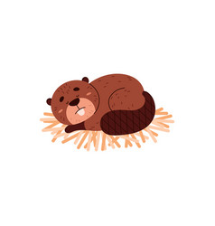 Cute Beaver Sleeping On Wood Cartoon Flat