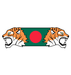 Tiger Bangladesh