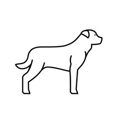 Rottweiler Dog Line Icon