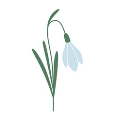 Snowdrop First Spring Flowers Cartoon Style