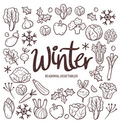 Hand-drawn Winter Seasonal Vegetables Background