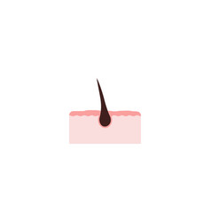 Hair Follicles Root Icon