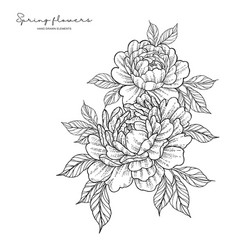 Peony Flowers In Japanese Tattoo Style Hand Drawn