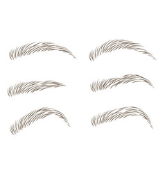 Brows Set Design