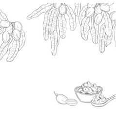 Hand Drawn Shea Fruits Leaves And Butter