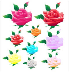 Set of beautiful pink roses Royalty Free Vector Image