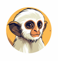 Portrait Of A Monkey On White Background