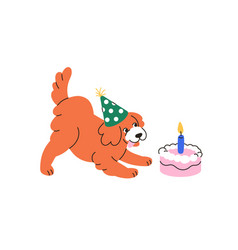 Happy Dog With Birthday Cake Candle Funny Pet In