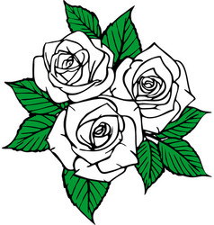 Color Drawing Of A Bouquet Of Three White Roses