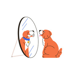 Cute Dog Dreamer Looking At Mirror Reflection