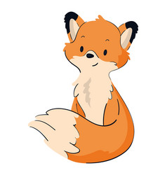 Cute Fox Animal