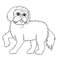 Maltese Dog Isolated Coloring Page For Kids