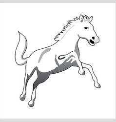 White Silhouette Of A Horse