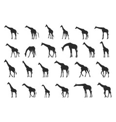 Giraffe Silhouette Svg Icon