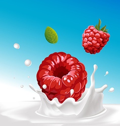 Splash Of Milk With Raspberry - With Blue Ba